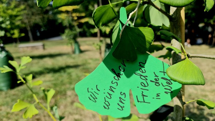 Friedenswünsche auf Papier